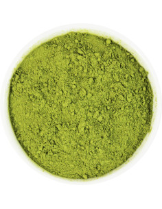 MORINGA SPROSZKOWANA BIO (SUROWIEC) (25 kg)