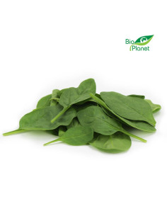 SZPINAK BABY ŚWIEŻY NIEMYTY BIO (około 0,25 kg) 2