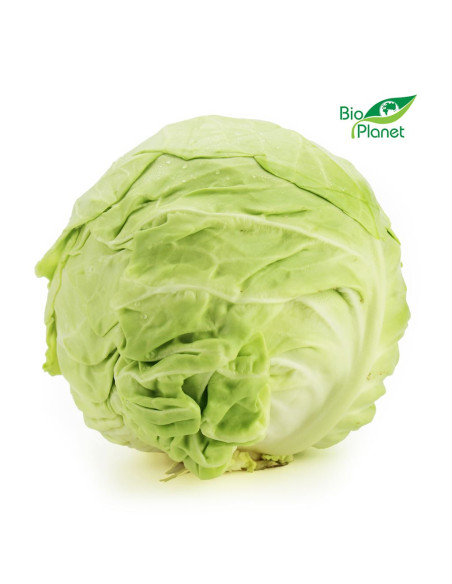OPAKOWANIE ZBIORCZE (kg) - KAPUSTA MŁODA ŚWIEŻA BIO (około 9 kg)