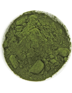 CHLORELLA SPROSZKOWANA BIO (SUROWIEC) (20 kg)