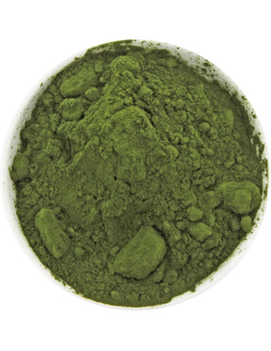 CHLORELLA SPROSZKOWANA BIO (SUROWIEC) (20 kg)