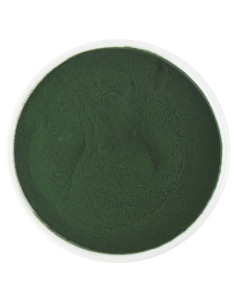 SPIRULINA SPROSZKOWANA BIO (SUROWIEC) (25 kg)