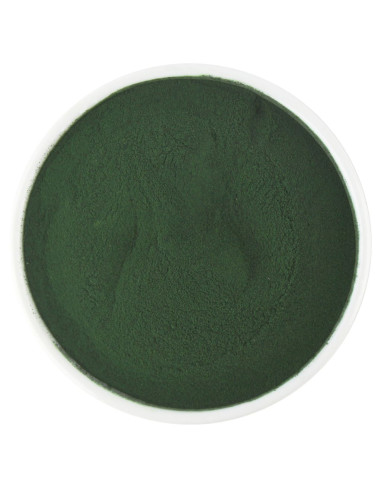 SPIRULINA SPROSZKOWANA BIO (SUROWIEC) (25 kg)