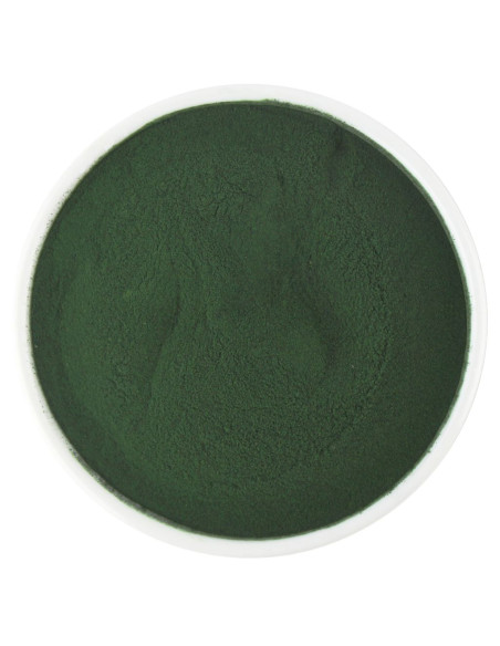 SPIRULINA SPROSZKOWANA BIO (SUROWIEC) (25 kg)