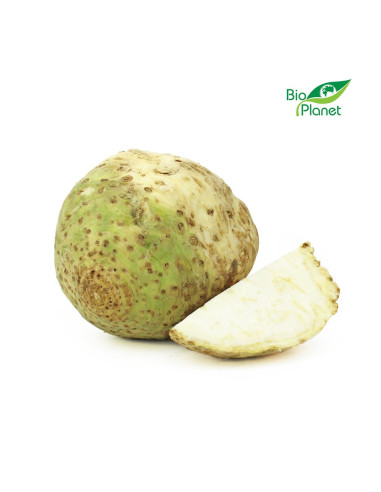 OPAKOWANIE ZBIORCZE (kg) - SELER ŚWIEŻY BIO (około 10 kg)