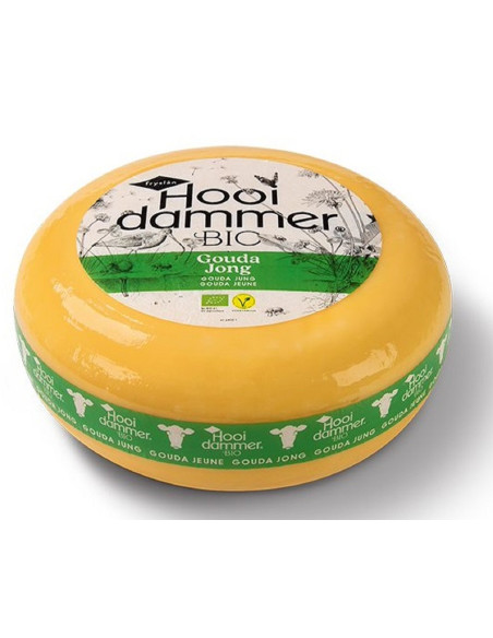 SER GOUDA YOUNG (KRÓTKO DOJRZEWAJĄCY) BIO (około 4,5 kg) - HOOIDAMMER
