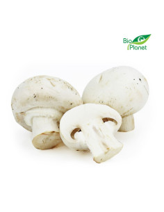 PIECZARKI BIAŁE ŚWIEŻE BIO (POLSKA) (około 0,25 kg) 2