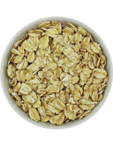 PŁATKI OWSIANE BŁYSKAWICZNE BIO (SUROWIEC) (25 kg)