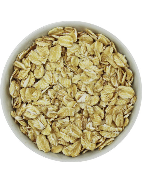 PŁATKI OWSIANE BŁYSKAWICZNE BIO (SUROWIEC) (25 kg)