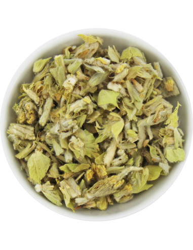 GOJNIK (HERBATKA GÓRSKA) BIO (SUROWIEC) (6 kg)