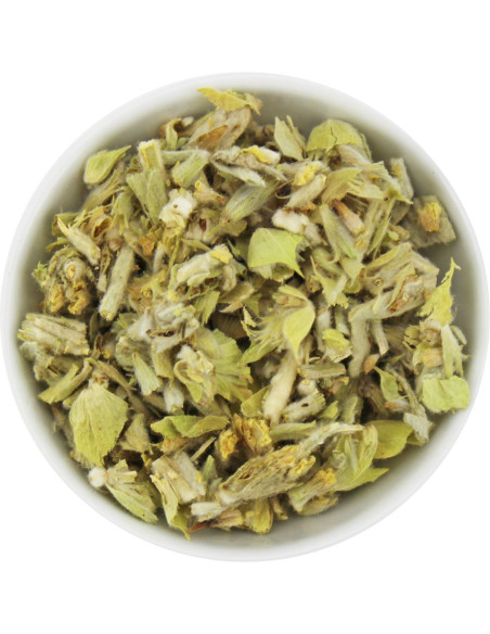GOJNIK (HERBATKA GÓRSKA) BIO (SUROWIEC) (6 kg)