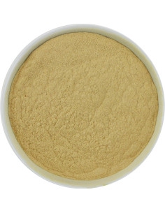 BAOBAB SPROSZKOWANY BIO (SUROWIEC) (20 kg)
