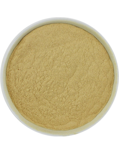 BAOBAB SPROSZKOWANY BIO (SUROWIEC) (20 kg)