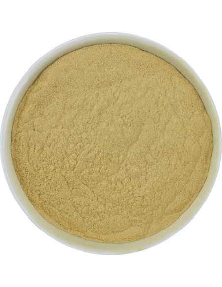 BAOBAB SPROSZKOWANY BIO (SUROWIEC) (20 kg)