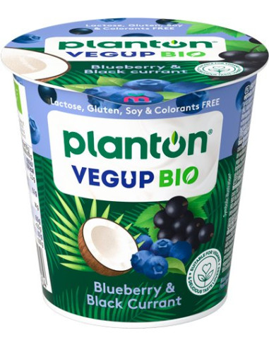 DESER KOKOSOWY JAGODA - CZARNA PORZECZKA BEZGLUTENOWY VEGANGURT BIO 140 g - VEGUP BIO