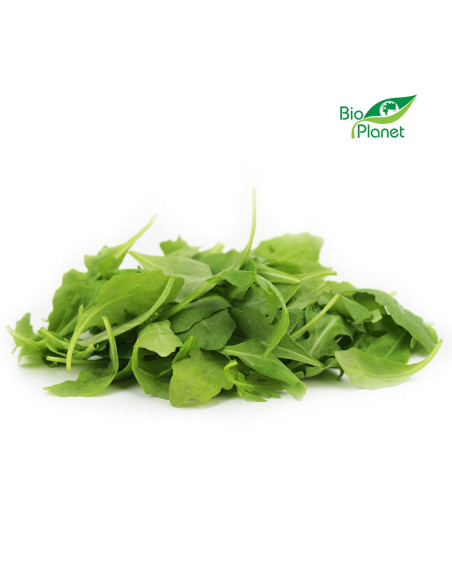 RUKOLA ŚWIEŻA NIEMYTA BIO (około 0,10 kg)