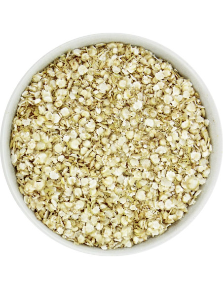 PŁATKI QUINOA BIO (SUROWIEC) (25 kg)