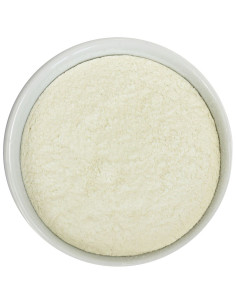 GUMA GUAR BIO (SUROWIEC) (25 kg)
