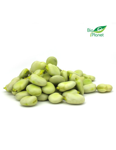 BÓB ŁUSKANY ŚWIEŻY BIO (POLSKA) (około 0,50 kg)