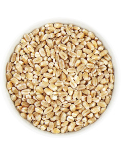 ORKISZ (ZIARNO) BIO (SUROWIEC) (25 kg)