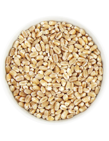 ORKISZ (ZIARNO) BIO (SUROWIEC) (25 kg)