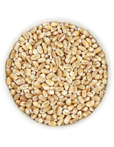 ORKISZ (ZIARNO) BIO (SUROWIEC) (25 kg)