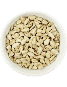 SŁONECZNIK ŁUSKANY BIO (SUROWIEC) (25 kg)