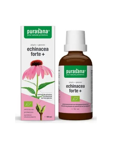JEŻÓWKA PURPUROWA (ECHINACEA FORTE) KROPLE BIO 50 ml - PURASANA