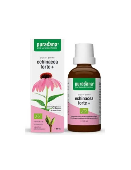 JEŻÓWKA PURPUROWA (ECHINACEA FORTE) KROPLE BIO 50 ml - PURASANA