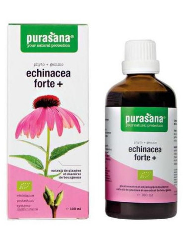 JEŻÓWKA PURPUROWA (ECHINACEA FORTE) KROPLE BIO 100 ml - PURASANA