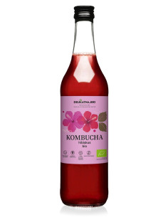 KOMBUCHA Z HIBISKUSEM BIO 500 ml - DELIKATNA 2