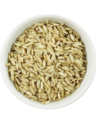 RYŻ BRĄZOWY DŁUGOZIARNISTY BIO (SUROWIEC) (25 kg)