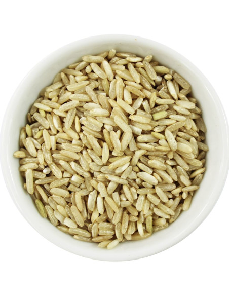 RYŻ BRĄZOWY DŁUGOZIARNISTY BIO (SUROWIEC) (25 kg)
