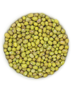 FASOLKA MUNG BIO (SUROWIEC) (25 kg)