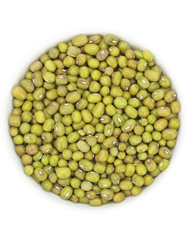 FASOLKA MUNG BIO (SUROWIEC) (25 kg)