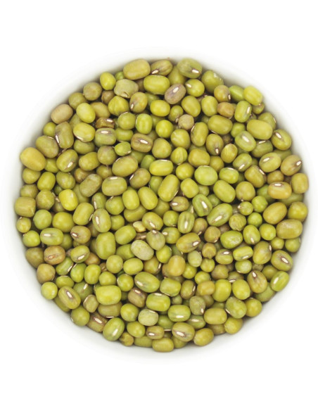 FASOLKA MUNG BIO (SUROWIEC) (25 kg)