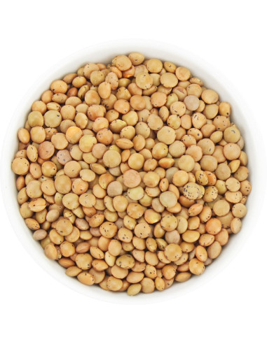 SOCZEWICA BRĄZOWA BIO (SUROWIEC) (25 kg)