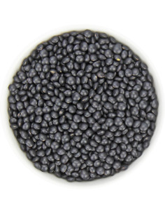 SOCZEWICA CZARNA BELUGA BIO (SUROWIEC) (25 kg)