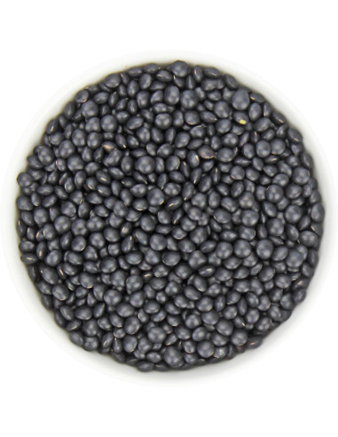 SOCZEWICA CZARNA BELUGA BIO (SUROWIEC) (25 kg)