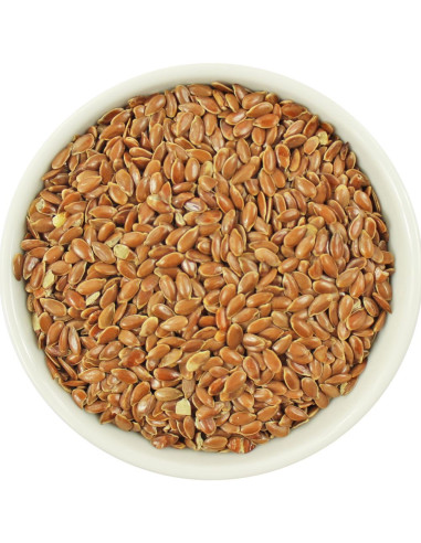 LEN BRĄZOWY (SIEMIĘ LNIANE) BIO (SUROWIEC) (25 kg)