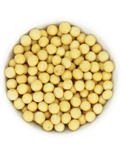 SOJA BIO (SUROWIEC) (25 kg)