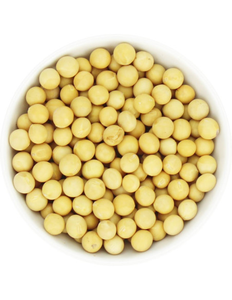 SOJA BIO (SUROWIEC) (25 kg)