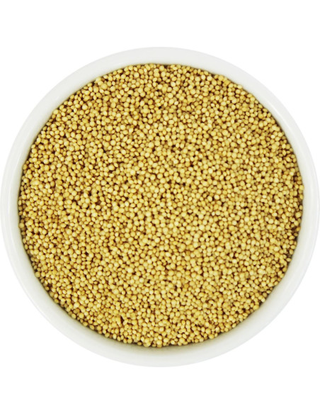 AMARANTUS BIO (SUROWIEC) (25 kg)