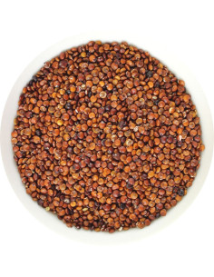 QUINOA CZERWONA (KOMOSA RYŻOWA) BIO (SUROWIEC) (25 kg)