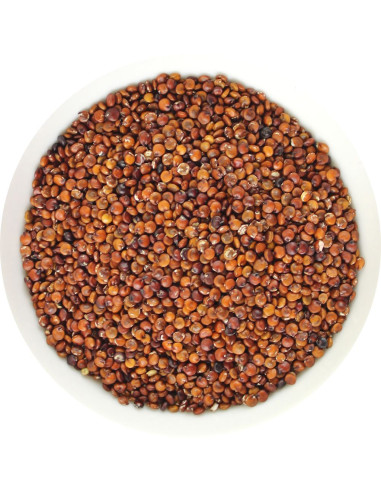QUINOA CZERWONA (KOMOSA RYŻOWA) BIO (SUROWIEC) (25 kg)