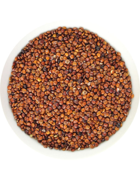 QUINOA CZERWONA (KOMOSA RYŻOWA) BIO (SUROWIEC) (25 kg)