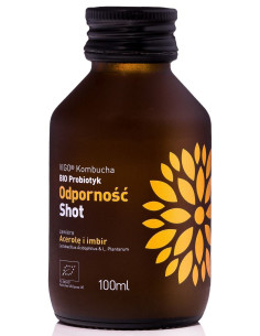 SHOT KOMBUCHA PROBIOTYK ODPORNOŚĆ BEZGLUTENOWY BIO 100 ml - VIGO