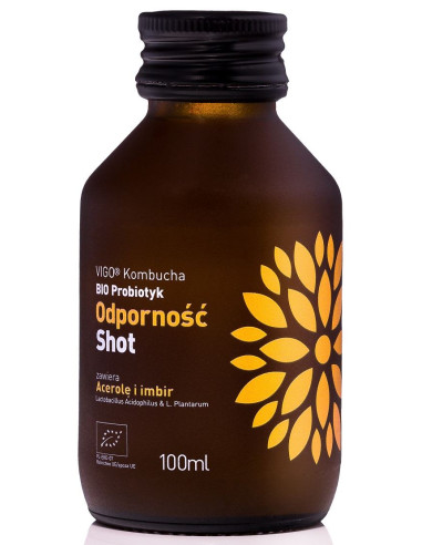 SHOT KOMBUCHA PROBIOTYK ODPORNOŚĆ BEZGLUTENOWY BIO 100 ml - VIGO