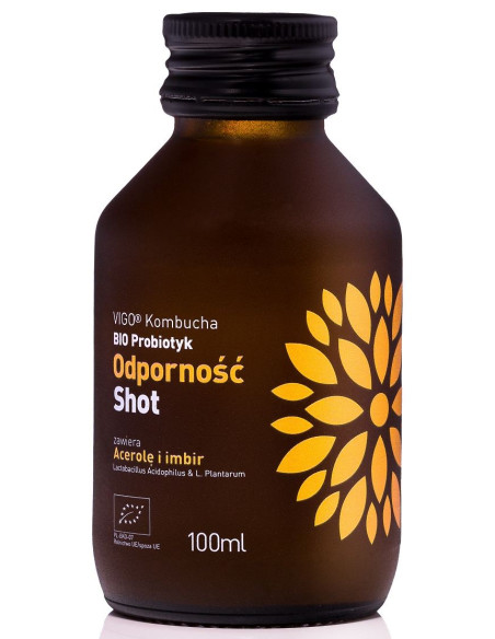 SHOT KOMBUCHA PROBIOTYK ODPORNOŚĆ BEZGLUTENOWY BIO 100 ml - VIGO