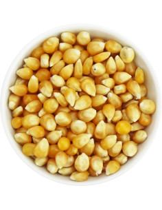 POPCORN (ZIARNO KUKURYDZY) BIO (SUROWIEC) (25 kg)